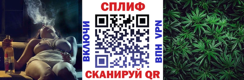 Виды наркотиков купить Магас Бошки Шишки  Мефедрон  A PVP  ГАШ  КОКАИН 
