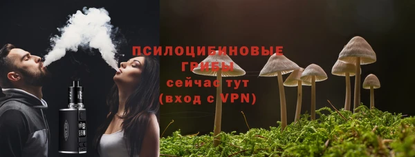 бошки Горняк