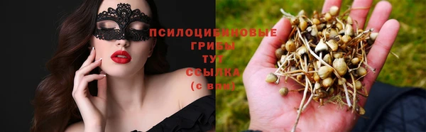 бошки Горняк