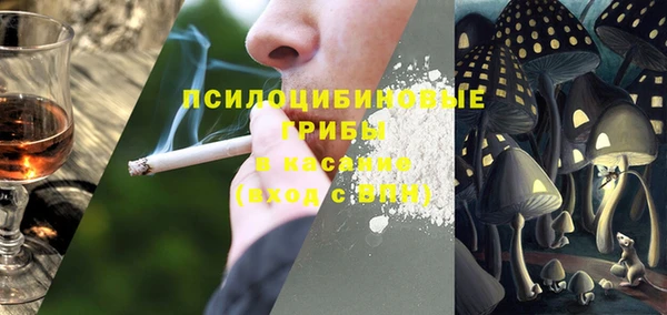 бошки Горняк