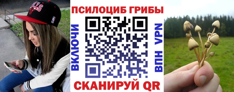 Галлюциногенные грибы Cubensis  Магас 
